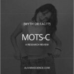 Does MOTS-c Help With Weight Loss? A Research Review